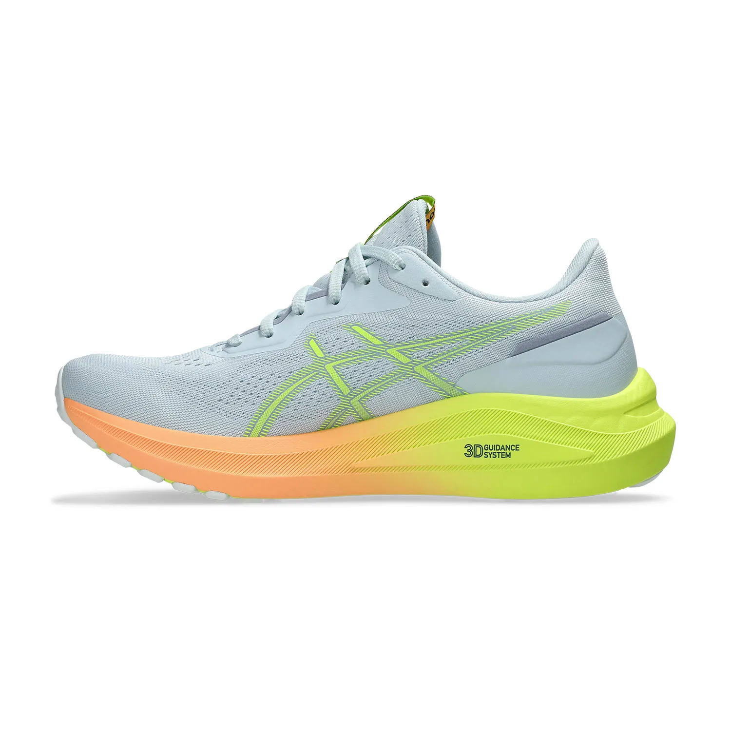 Asics GT 1000 13 COS