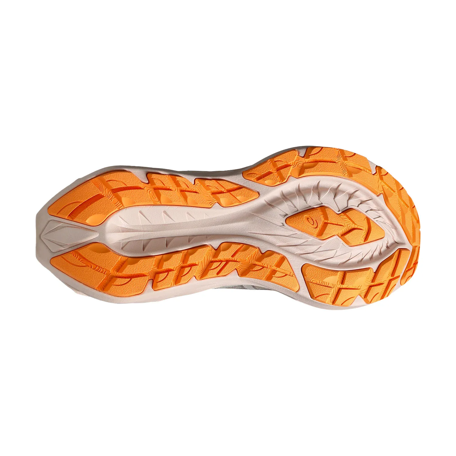 Asics Novablast 4 TR