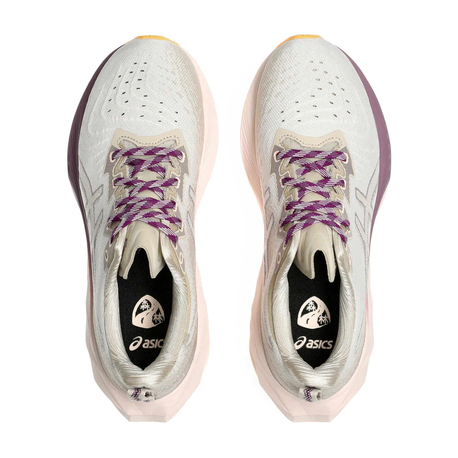 Asics Novablast 4 TR