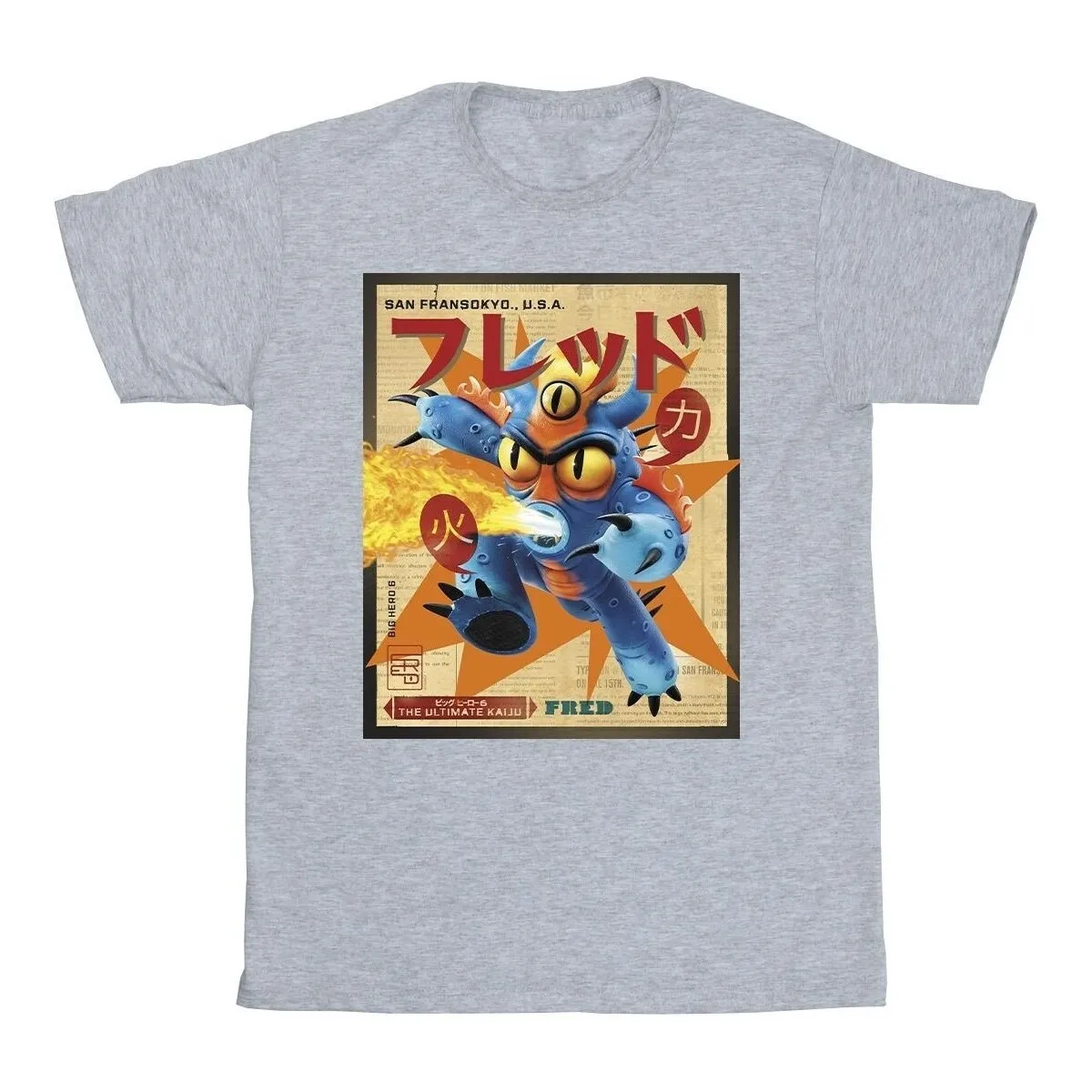 Big Hero 6 Baymax Fred Newspaper