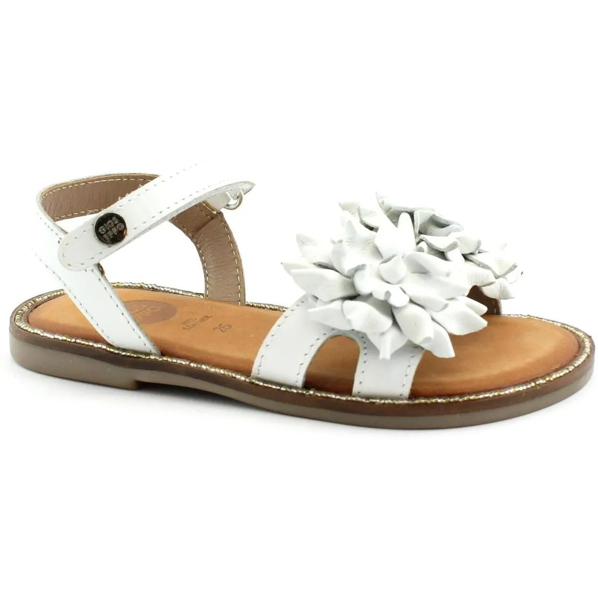 GIOE1947882WH