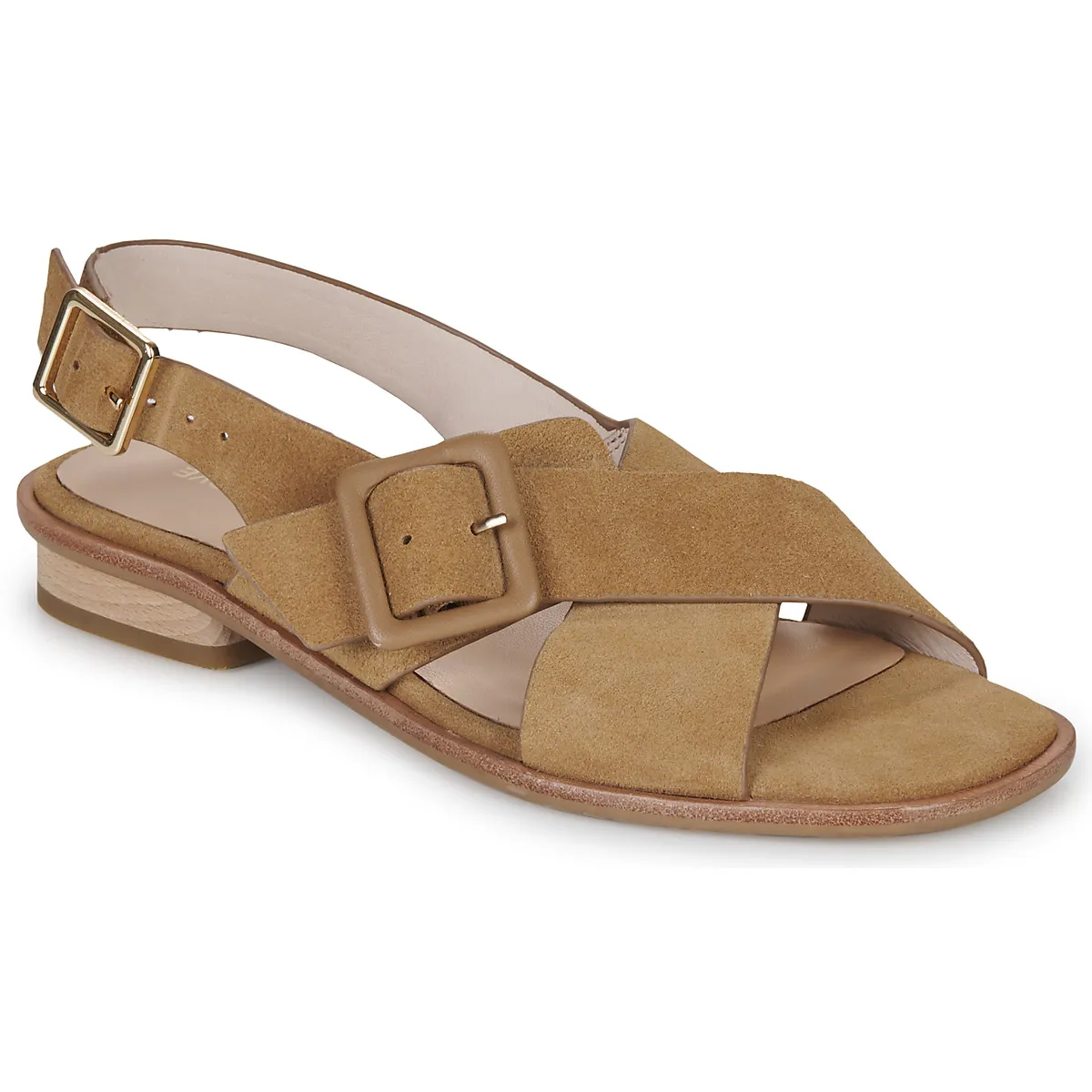 OPALE BUCKLE