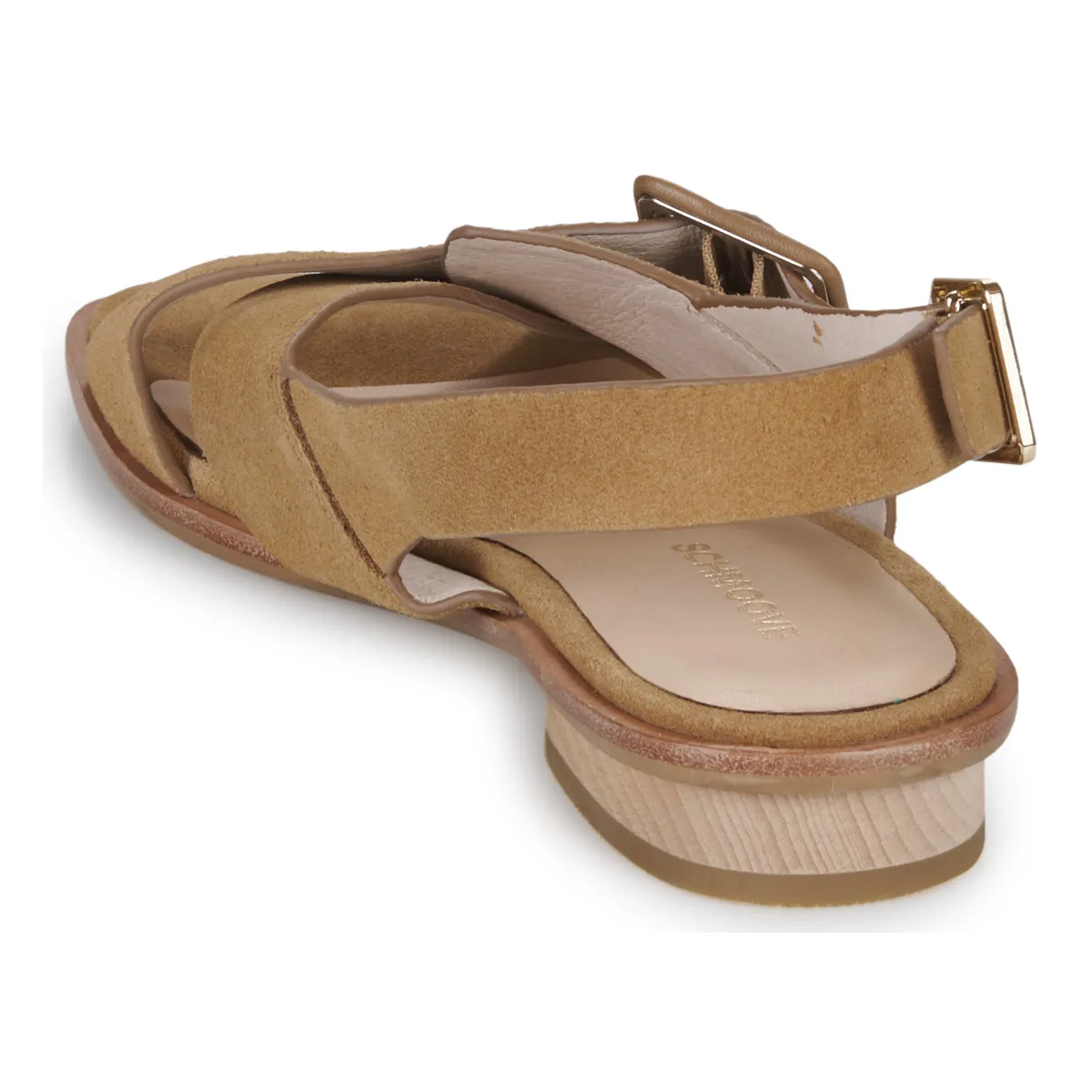OPALE BUCKLE